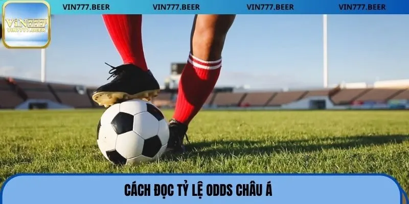 Cách đọc tỷ lệ odds châu Á
