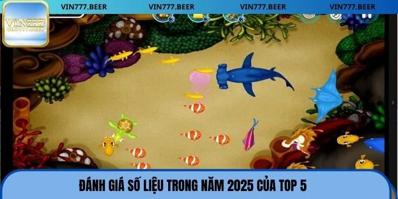 Đánh giá số liệu trong năm 2025 của top 5