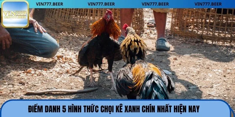 Điểm danh 5 hình thức chọi kê xanh chín nhất hiện nay