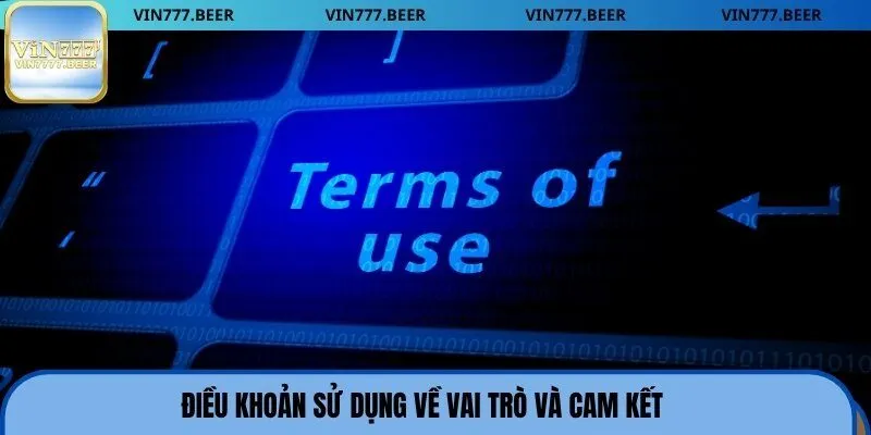 Điều khoản sử dụng về vai trò và cam kết
