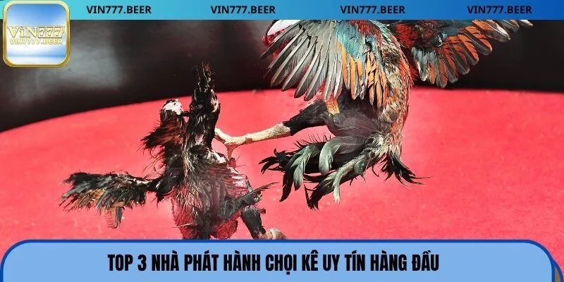 Top 3 nhà phát hành chọi kê uy tín hàng đầu