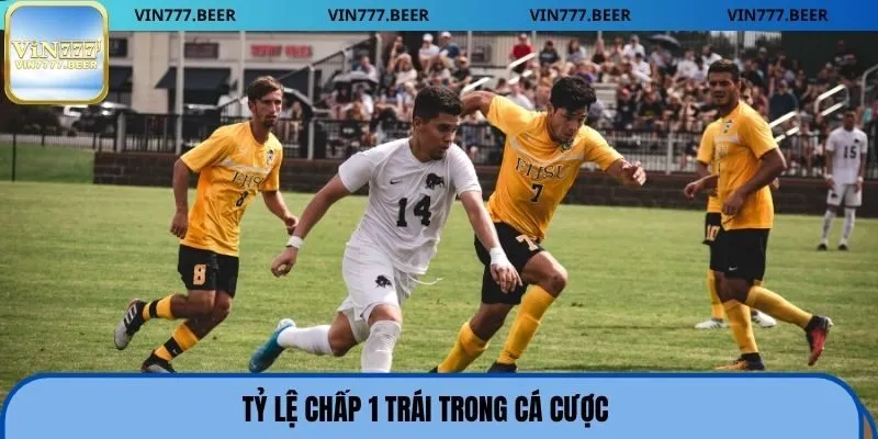 Tỷ lệ chấp 1 trái trong cá cược